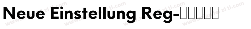 Neue Einstellung Reg字体转换